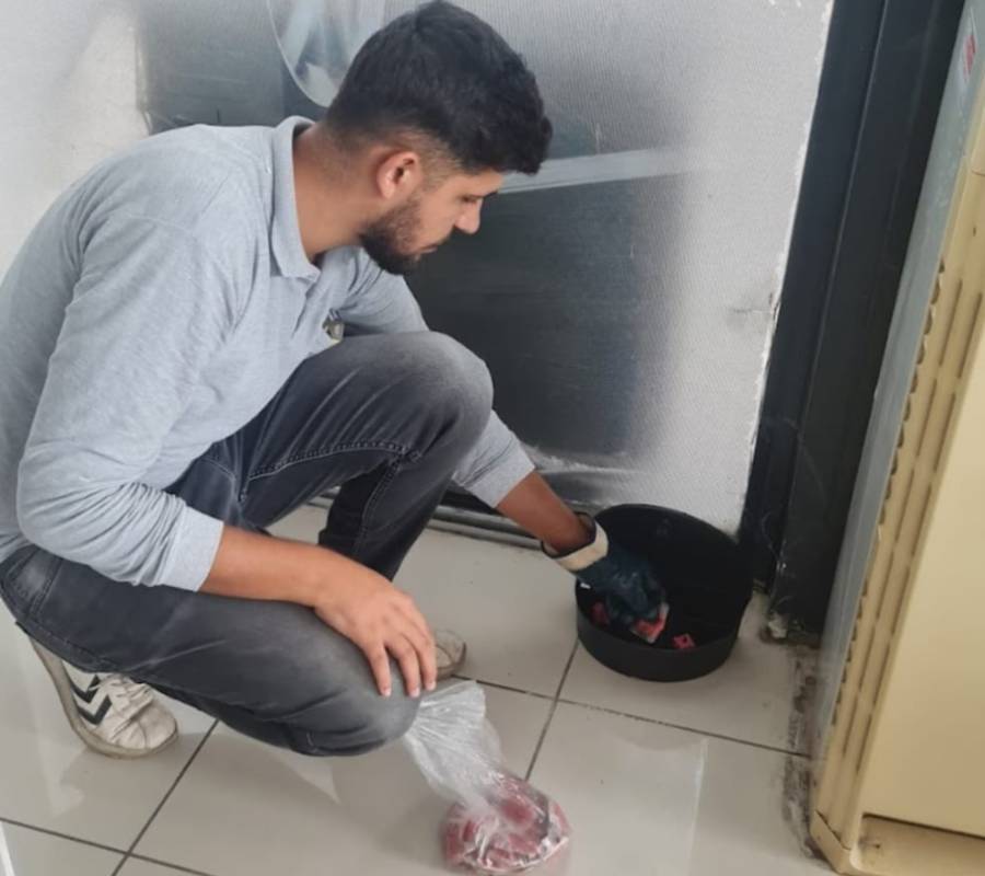 Adana Fare İlaçlama Hizmeti